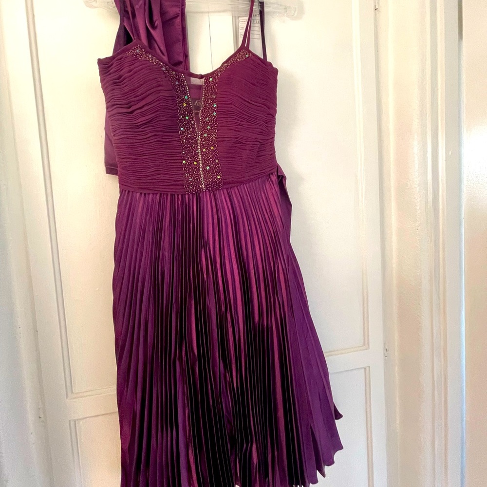 Purple Dress, beaded, with Shall